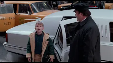 Backdrop to the movie "Home Alone 2: Lost in New York" #567021