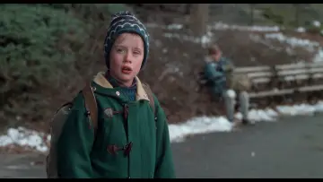 Backdrop to the movie "Home Alone 2: Lost in New York" #567044