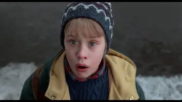 Backdrop to the movie "Home Alone 2: Lost in New York" #567049