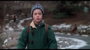 Backdrop to the movie "Home Alone 2: Lost in New York" #567075