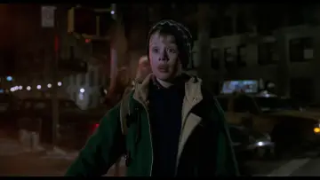 Backdrop to the movie "Home Alone 2: Lost in New York" #567077