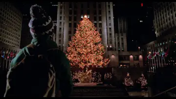 Backdrop to the movie "Home Alone 2: Lost in New York" #567128
