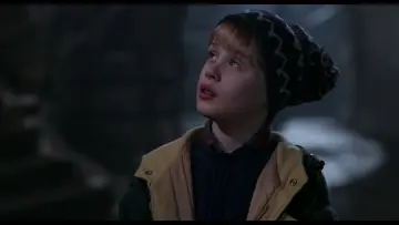 Backdrop to the movie "Home Alone 2: Lost in New York" #567137