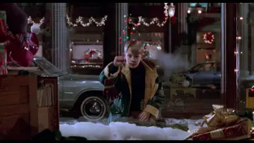 Backdrop to the movie "Home Alone 2: Lost in New York" #567182