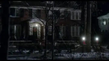Backdrop to the movie "Home Alone 2: Lost in New York" #567200