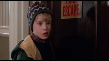 Backdrop to the movie "Home Alone 2: Lost in New York" #567235