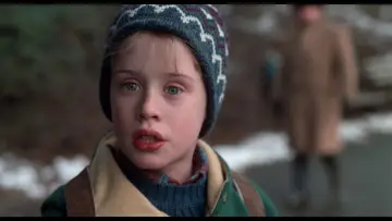 Backdrop to the movie "Home Alone 2: Lost in New York" #567250