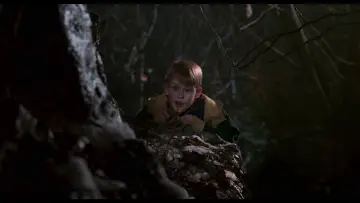 Backdrop to the movie "Home Alone 2: Lost in New York" #567392