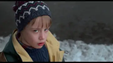 Backdrop to the movie "Home Alone 2: Lost in New York" #567414