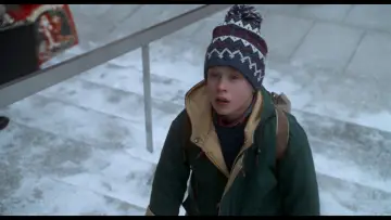 Backdrop to the movie "Home Alone 2: Lost in New York" #567422