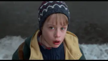 Backdrop to the movie "Home Alone 2: Lost in New York" #567432