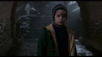 Backdrop to the movie "Home Alone 2: Lost in New York" #567436