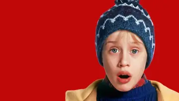 Backdrop to the movie "Home Alone 2: Lost in New York" #567440