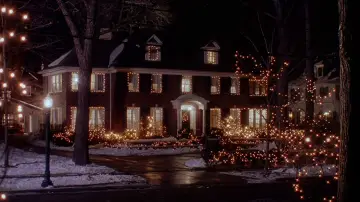 Backdrop to the movie "Home Alone 2: Lost in New York" #567465