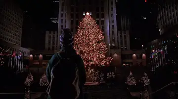 Backdrop to the movie "Home Alone 2: Lost in New York" #567468