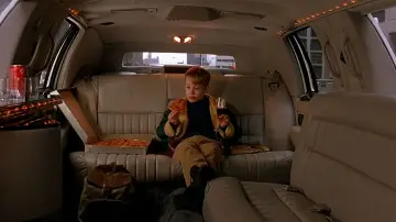 Backdrop to the movie "Home Alone 2: Lost in New York" #567475