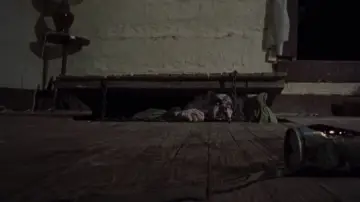 Backdrop to the movie "The Evil Dead" #800594