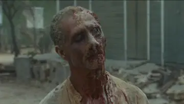 Backdrop to the movie "Zombie Flesh Eaters" #1208842