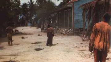 Backdrop to the movie "Zombie Flesh Eaters" #996968