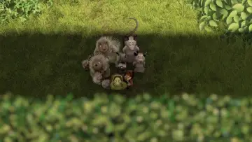 Backdrop to the movie "Over the Hedge" #669163