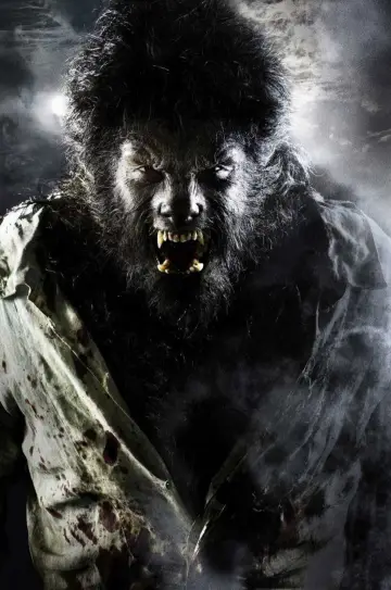 Poster to the movie "The Wolfman" #864476