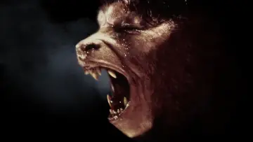 Backdrop to the movie "An American Werewolf in London" #701894