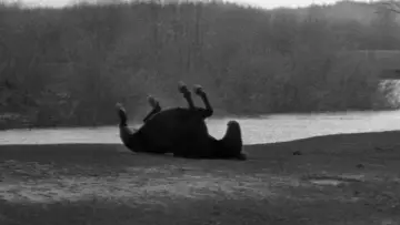 Backdrop to the movie "Andrei Rublev" #727978