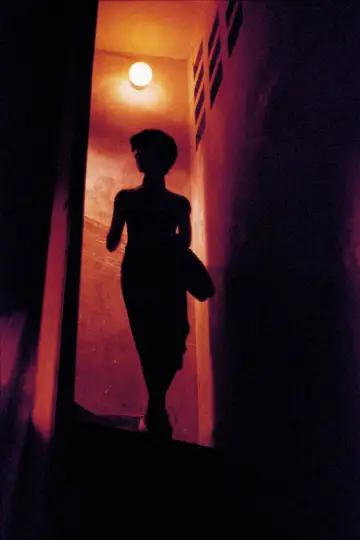 Poster to the movie "In the Mood for Love" #527560