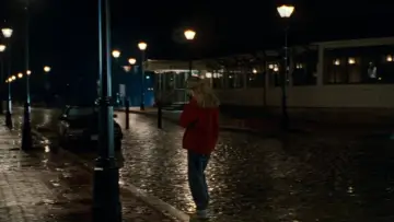 Backdrop to the movie "Sleepless in Seattle" #1799100