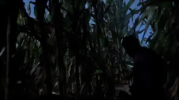 Backdrop to the movie "The X-Files" #1644543