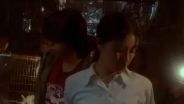 Backdrop to the movie "Swallowtail Butterfly" #1079629
