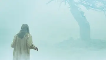 Backdrop to the movie "The Exorcism of Emily Rose" #279594