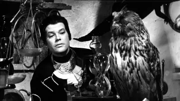 Backdrop to the movie "The Saragossa Manuscript" #1648720