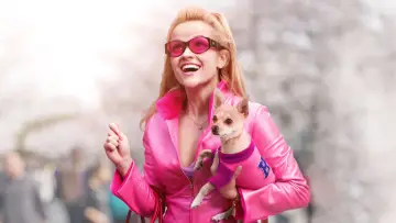 Backdrop to the movie "Legally Blonde" #616079
