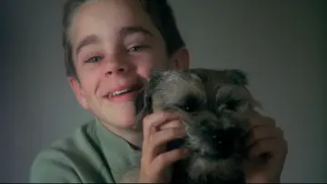 Backdrop to the movie "My Life as a Dog" #1079198