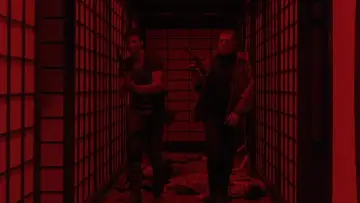 Backdrop to the movie "The Punisher" #969538