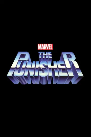 Poster to the movie "The Punisher" #969556