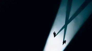 Backdrop to the movie "The X-Files: I Want to Believe" #329997