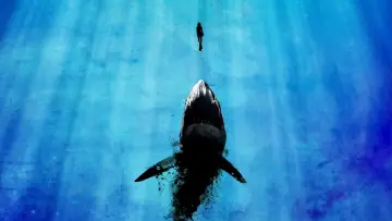 Backdrop to the movie "Deep Blue Sea" #310160