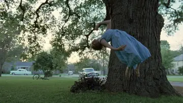Backdrop to the movie "The Tree of Life" #723937