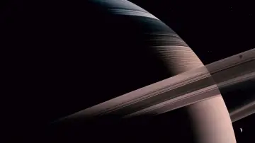 Backdrop to the movie "The Tree of Life" #723944