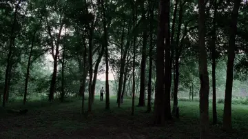 Backdrop to the movie "The Tree of Life" #723963