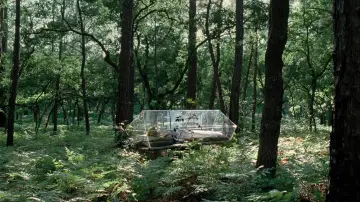 Backdrop to the movie "The Tree of Life" #723970