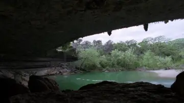 Backdrop to the movie "The Tree of Life" #852798