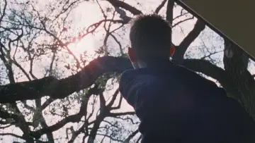 Backdrop to the movie "The Tree of Life" #852814