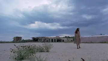 Backdrop to the movie "The Tree of Life" #852820