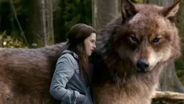 Backdrop to the movie "Twilight" #1576152