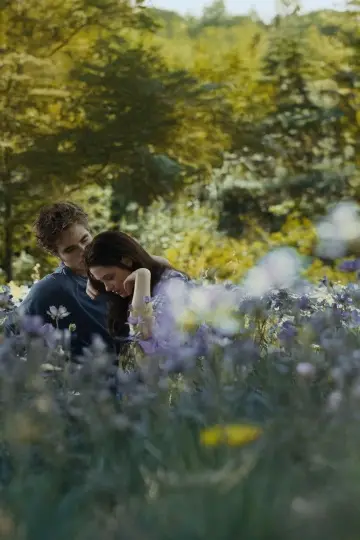 Poster to the movie "Twilight" #1642090