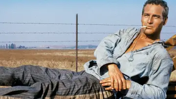 Backdrop to the movie "Cool Hand Luke" #188451