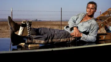 Backdrop to the movie "Cool Hand Luke" #410432
